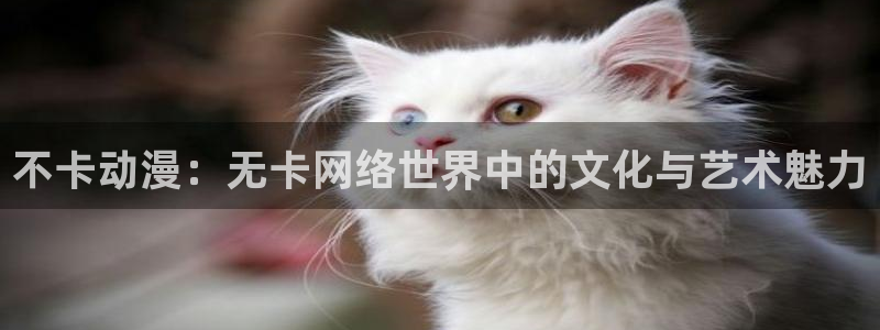 鬼父在线风车动漫：不卡动漫：无卡网络世界中的文化与艺术魅力