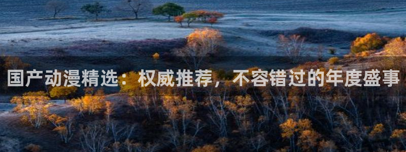 风车动漫dm530动漫：国产动漫精选：权威推荐，不容错过的年度盛事