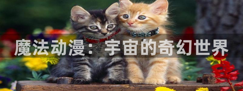 樱花风车动漫专注动漫的门户网站官网：魔法动漫：宇宙的奇幻世界