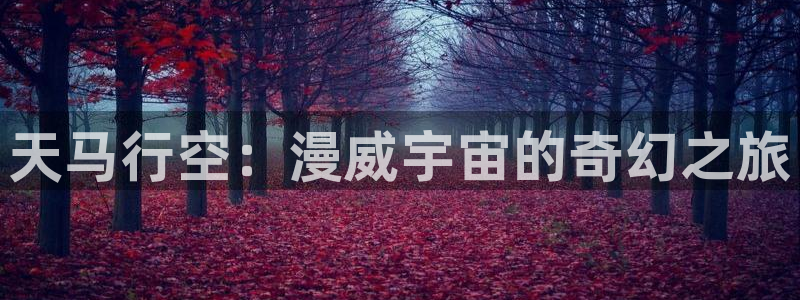 风车动漫动漫在线观看：天马行空：漫威宇宙的奇幻之旅