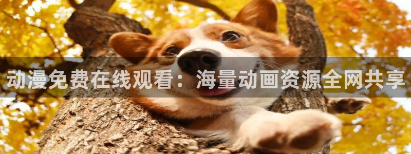 风车动漫樱花动：动漫免费在线观看：海量动画资源全网共享