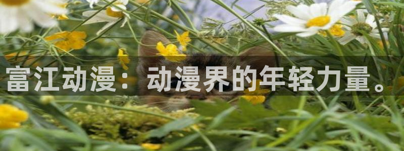 风车动漫(p)_在线观看动漫：富江动漫：动漫界的年轻力量。